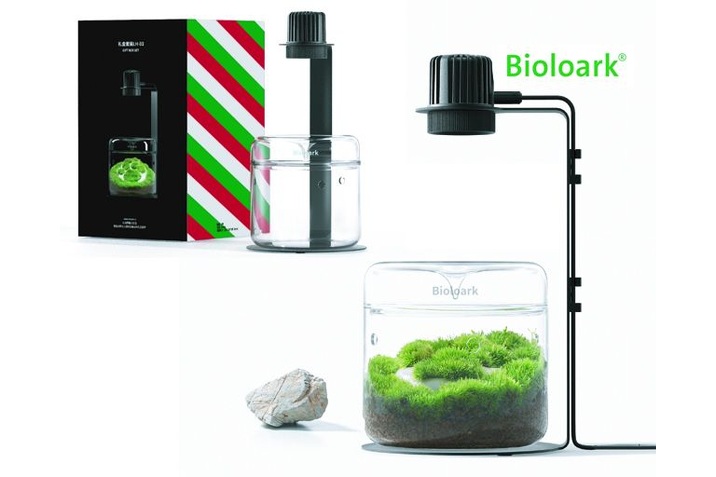 Bioloark Wabi-Kusa Set, Gift Box LH-03